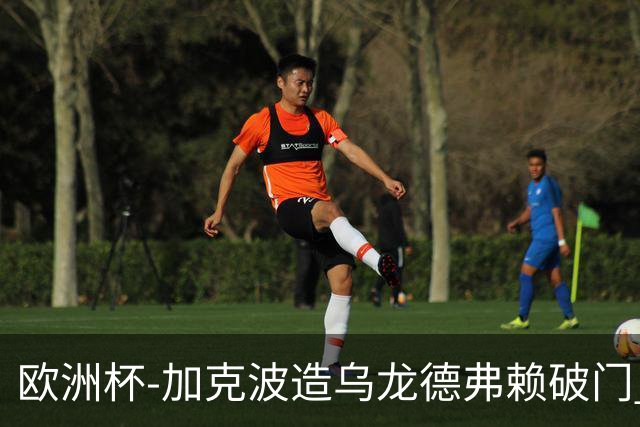 欧洲杯-加克波造乌龙德弗赖破门 荷兰2-1土耳其